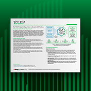 Cortex Cloud a simple vista