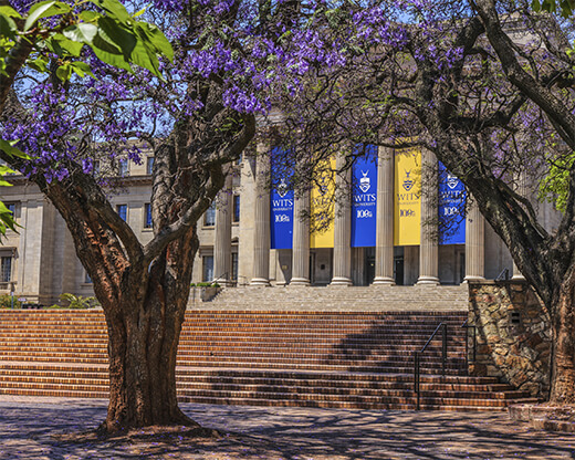 Foto de la Universidad de Wits