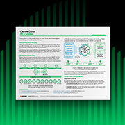 Cortex Cloud a simple vista
